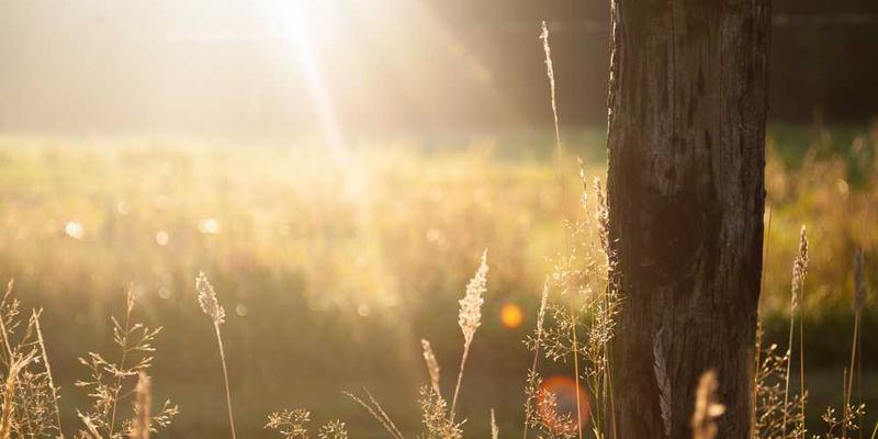 Write Service Descriptions That Convert: A Freelancer's Guide